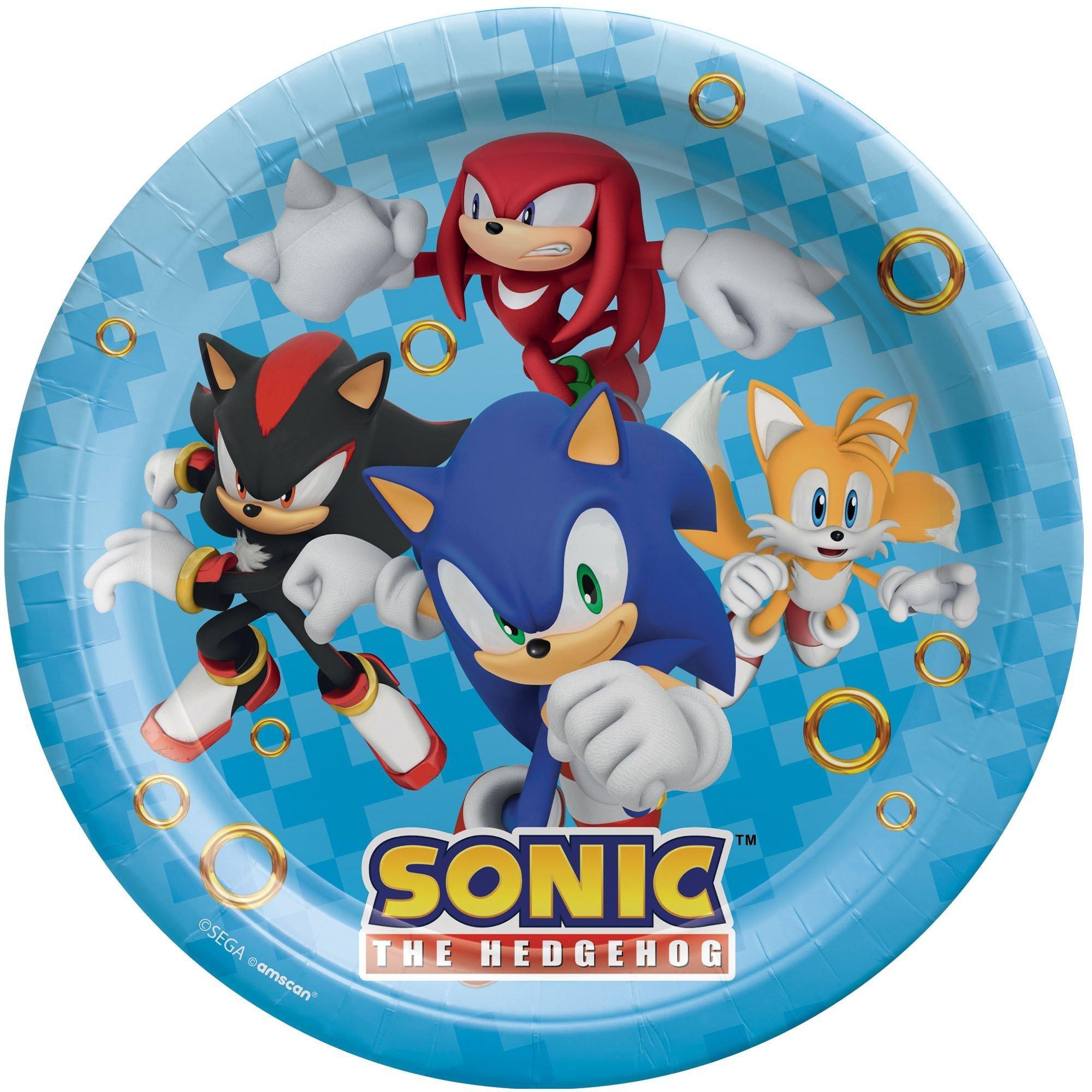 Sonic the Hedgehog Birthday Party Supplies Pack for 8 Guests - Kit Includes Plates, Napkins, Table Cover, Banner Decoration, Scene Setter, Centerpiece, Favors with Bags & Pinata